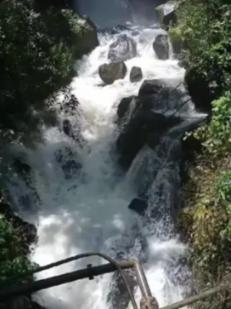 雷竞技比分